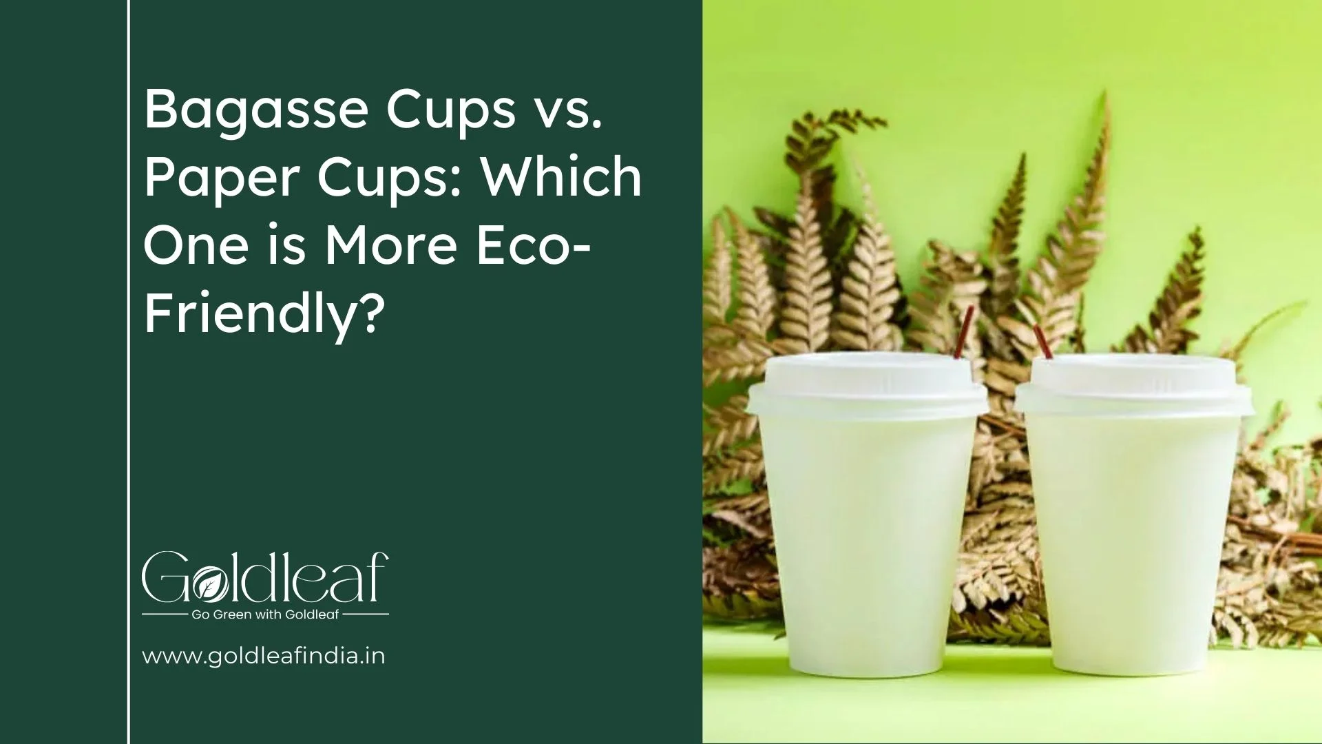 Bagasse Cups vs Paper Cups