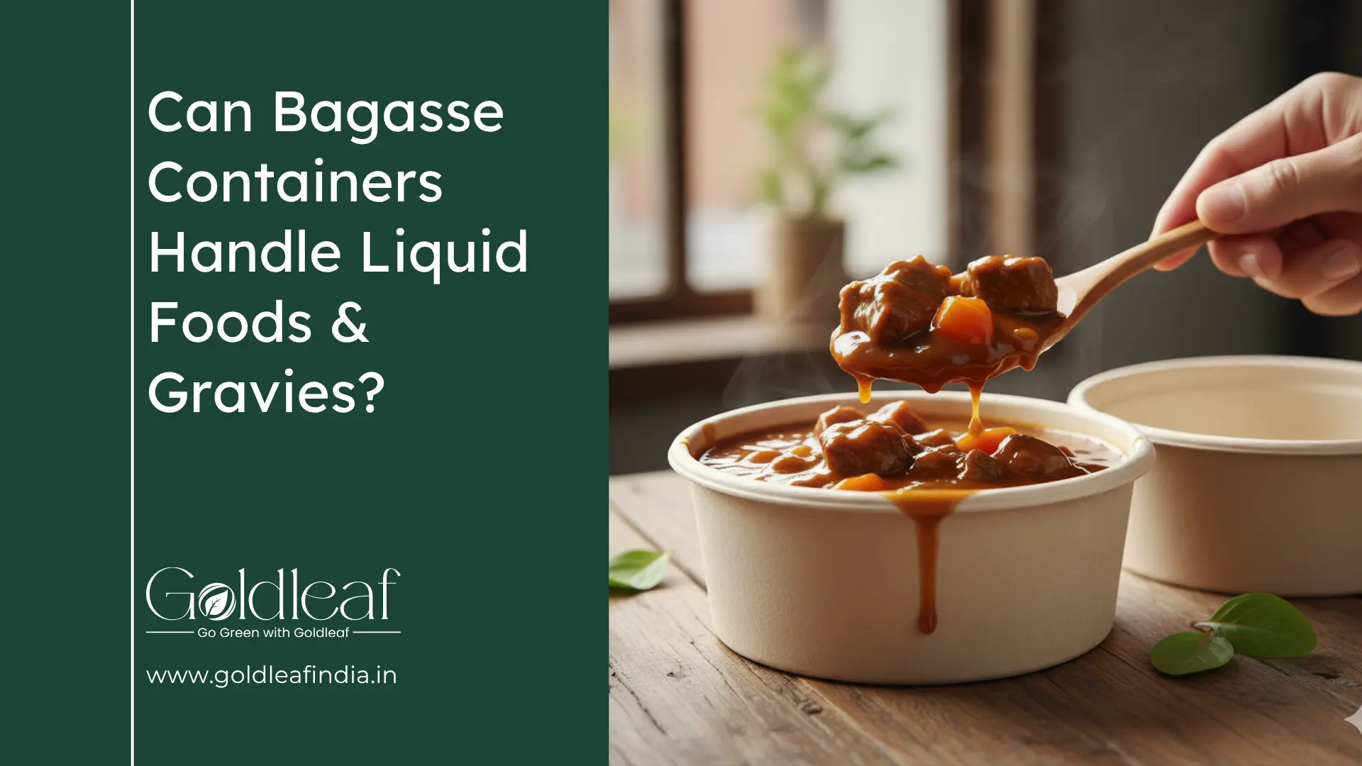 Can Bagasse Containers Handle Liquid Foods & Gravies?